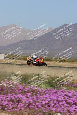 media/Feb-04-2023-SoCal Trackdays (Sat) [[8a776bf2c3]]/Turn 15 Inside Blooming (1050am)/